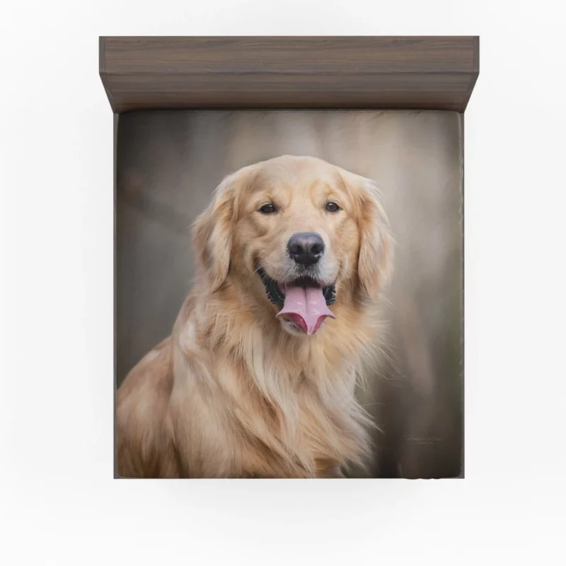 Golden Retriever Wholesome Essence Fitted Sheet 1