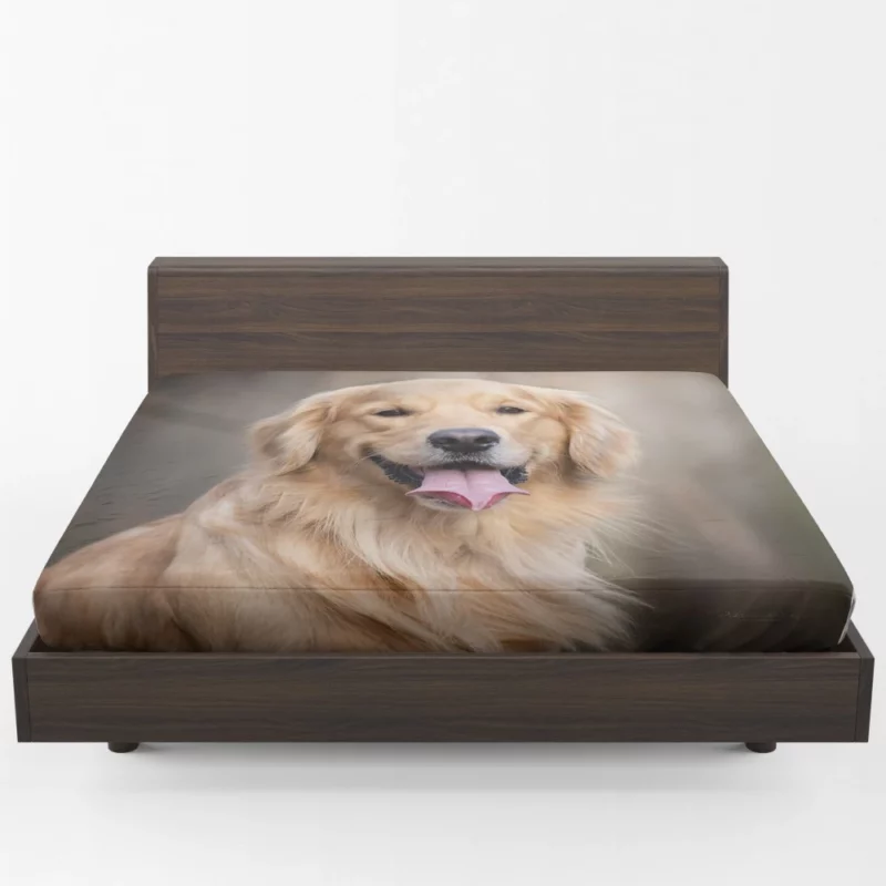 Golden Retriever Wholesome Essence Fitted Sheet