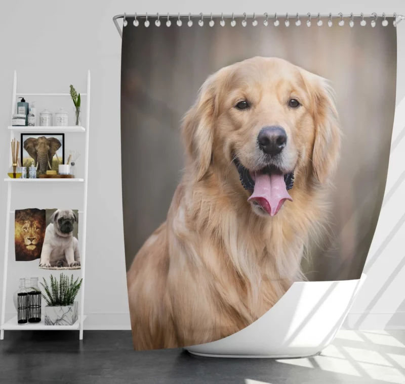 Golden Retriever Wholesome Essence Shower Curtain