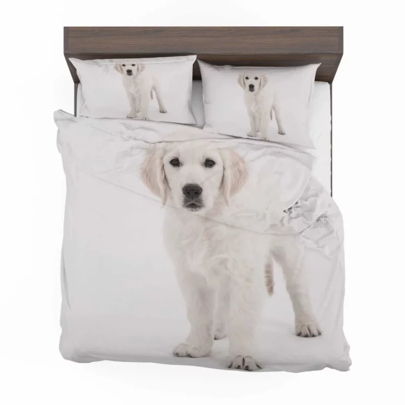 Golden Retriever Wholesome Joy Bedding Set 1