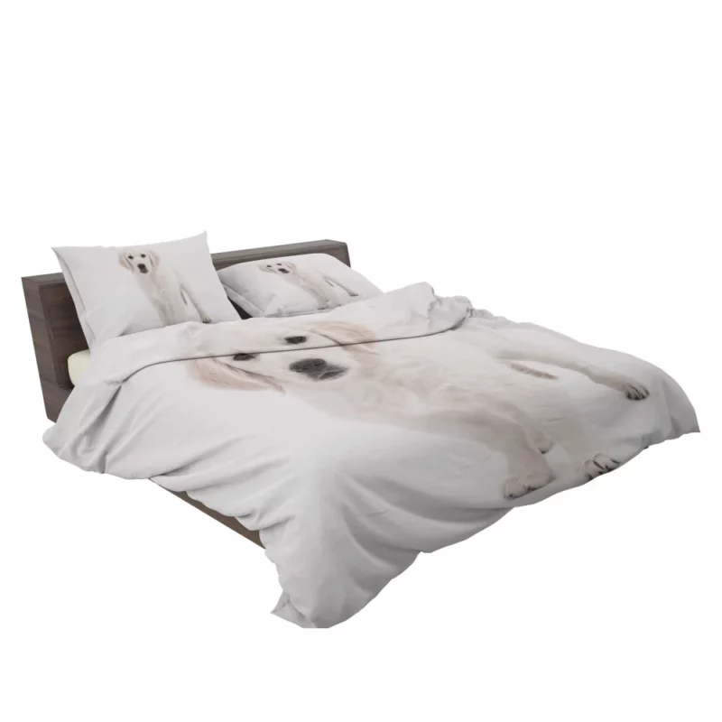 Golden Retriever Wholesome Joy Bedding Set 2