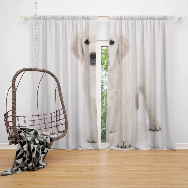 Golden Retriever Wholesome Joy Curtain