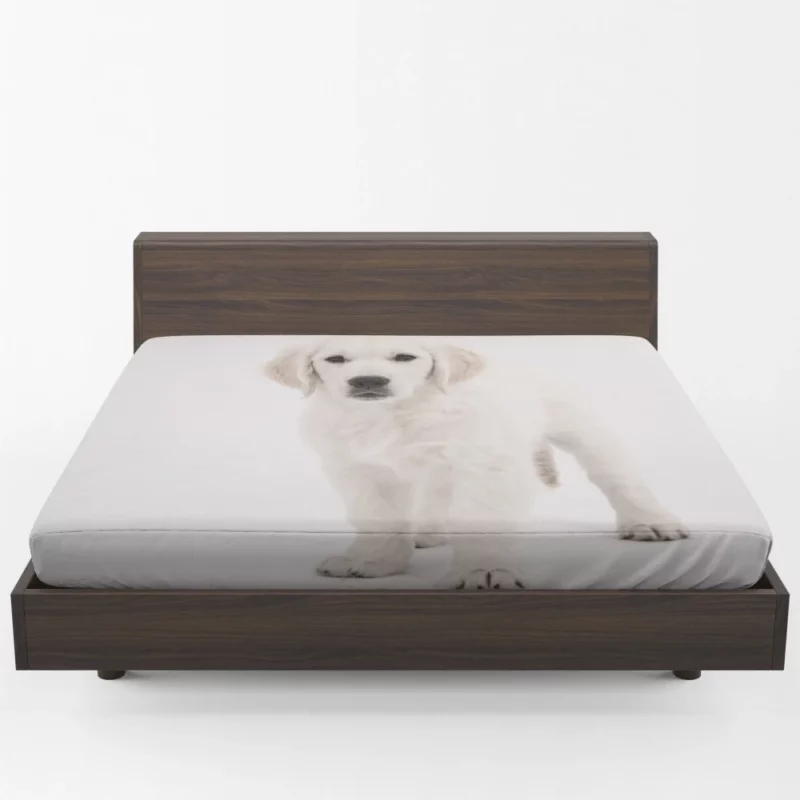 Golden Retriever Wholesome Joy Fitted Sheet