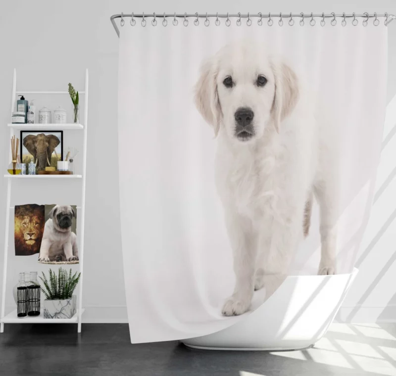 Golden Retriever Wholesome Joy Shower Curtain