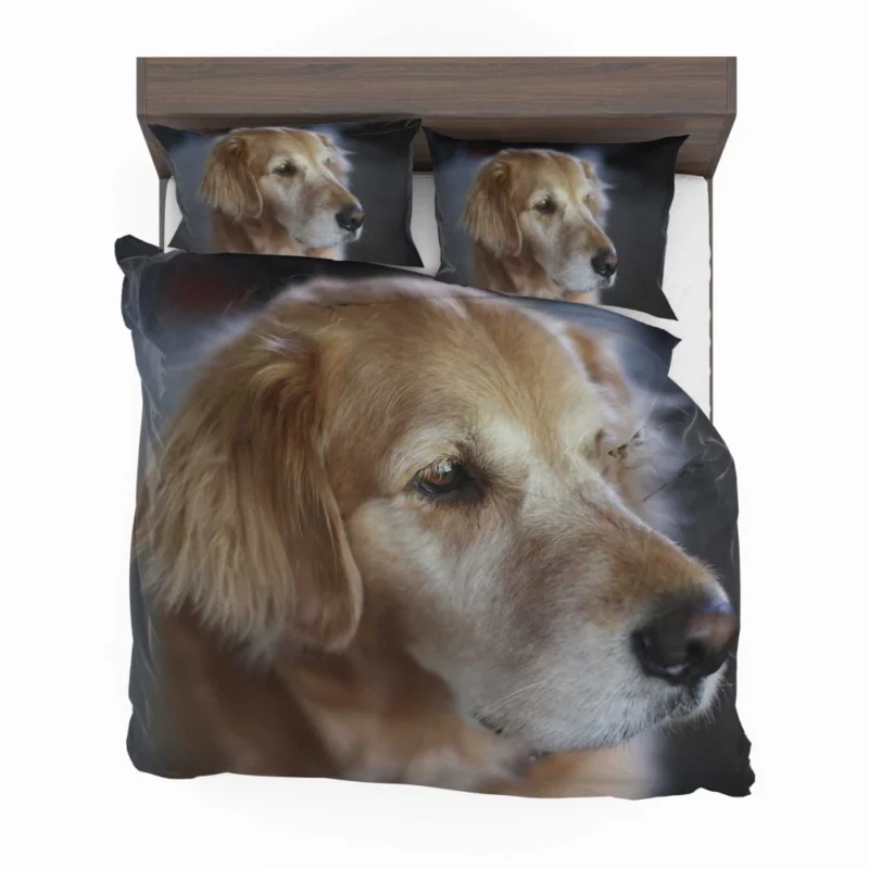 Golden Retriever Winter Scarf Charm Bedding Set 1