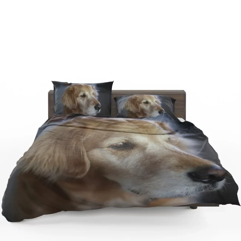 Golden Retriever Winter Scarf Charm Bedding Set