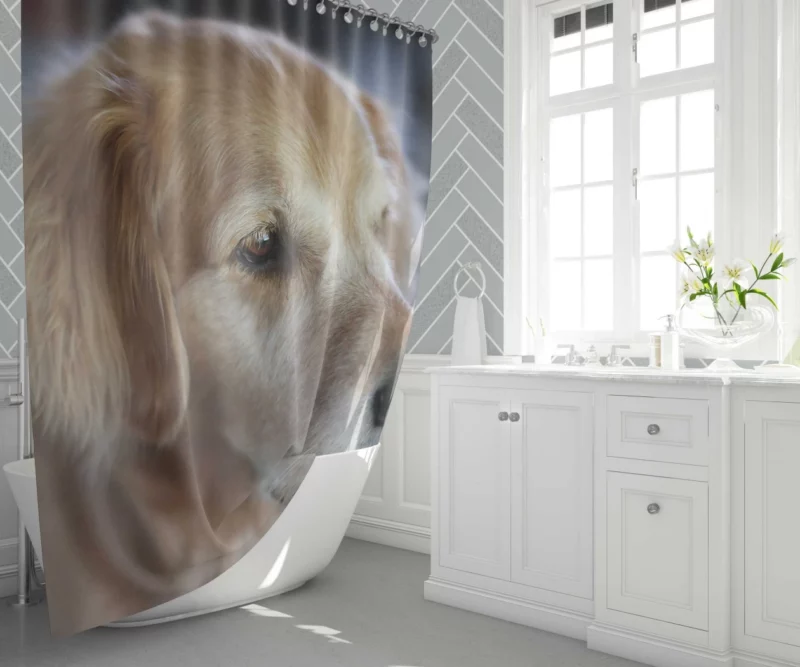 Golden Retriever Winter Scarf Charm Shower Curtain 1