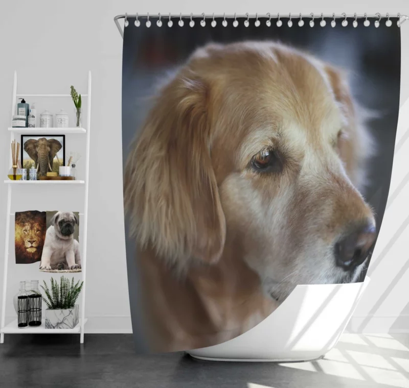 Golden Retriever Winter Scarf Charm Shower Curtain