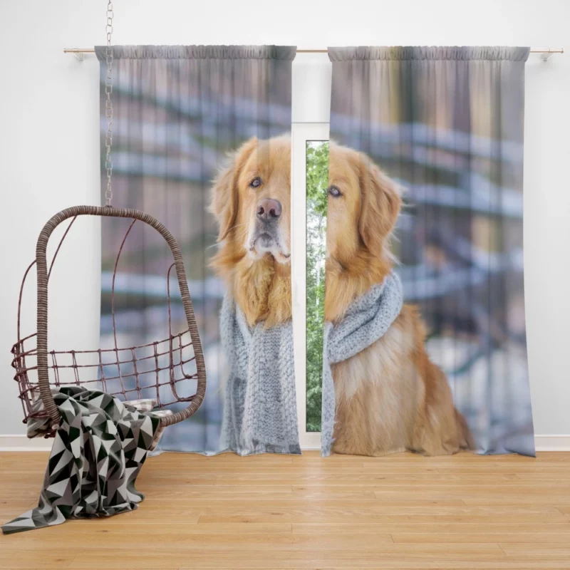 Golden Retriever Winter Warmth Curtain