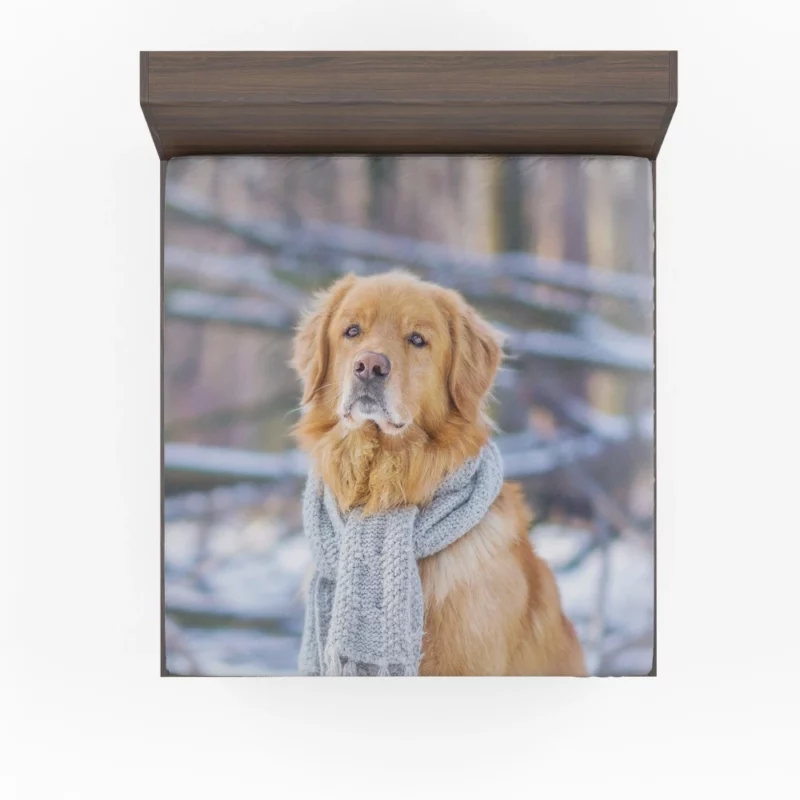 Golden Retriever Winter Warmth Fitted Sheet 1