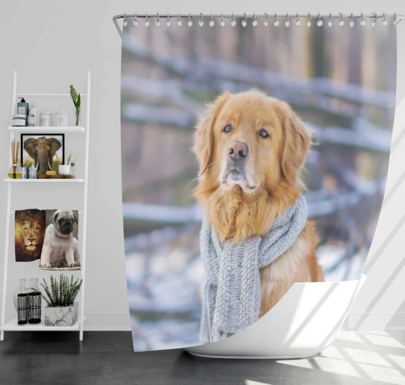 Golden Retriever Winter Warmth Shower Curtain