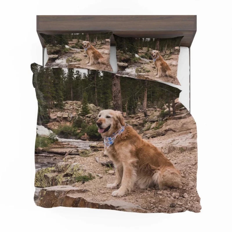 Golden Retriever by Stream Bedding Set 1