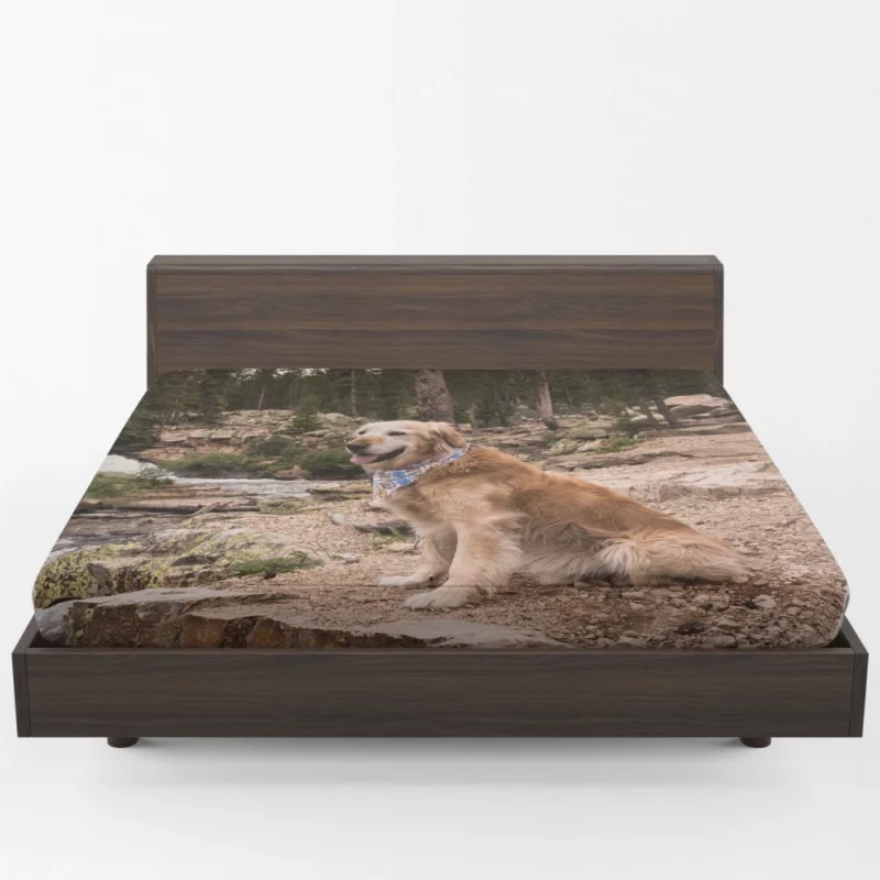 Golden Retriever by Stream Fitted Sheet