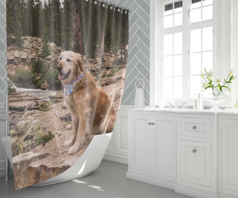 Golden Retriever by Stream Shower Curtain 1