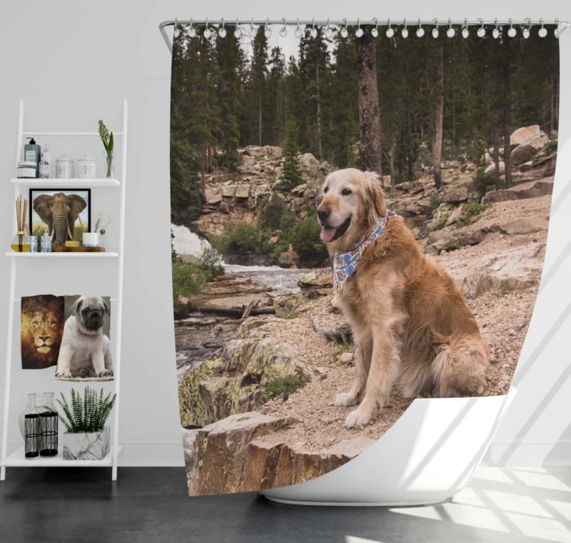 Golden Retriever by Stream Shower Curtain