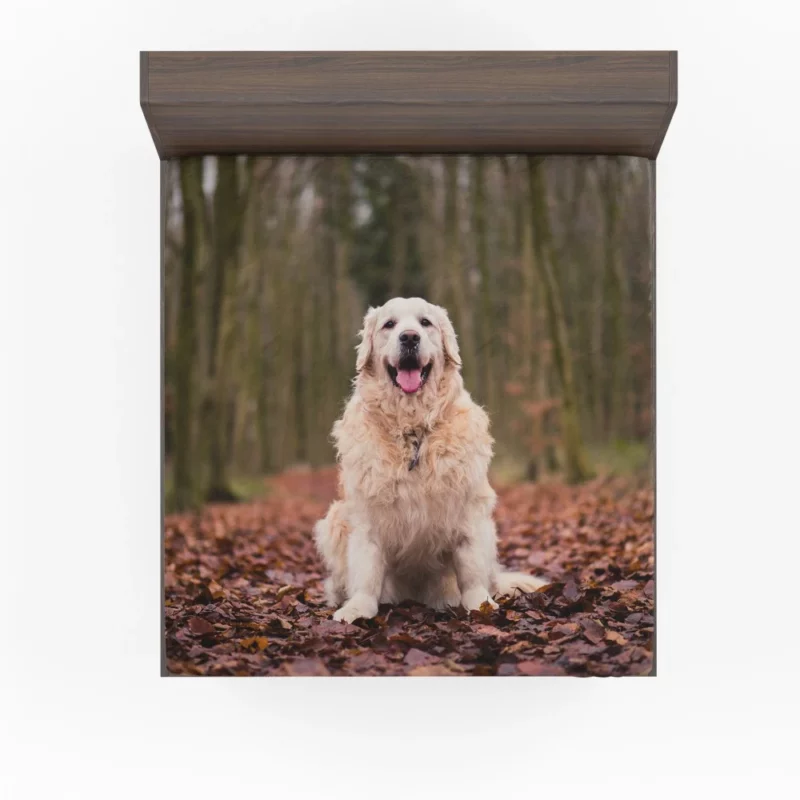 Golden Retriever in Forest Serenity Fitted Sheet 1