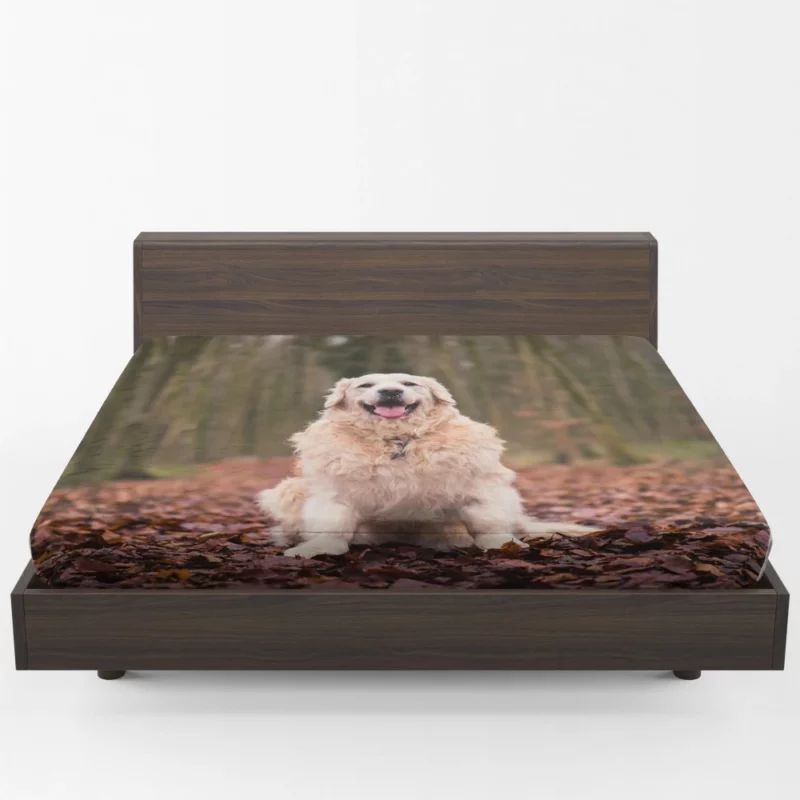 Golden Retriever in Forest Serenity Fitted Sheet