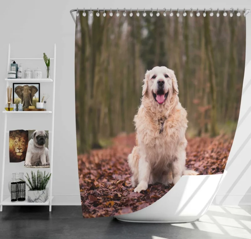 Golden Retriever in Forest Serenity Shower Curtain