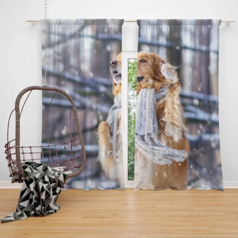 Golden Retriever in Winter Wonderland Curtain