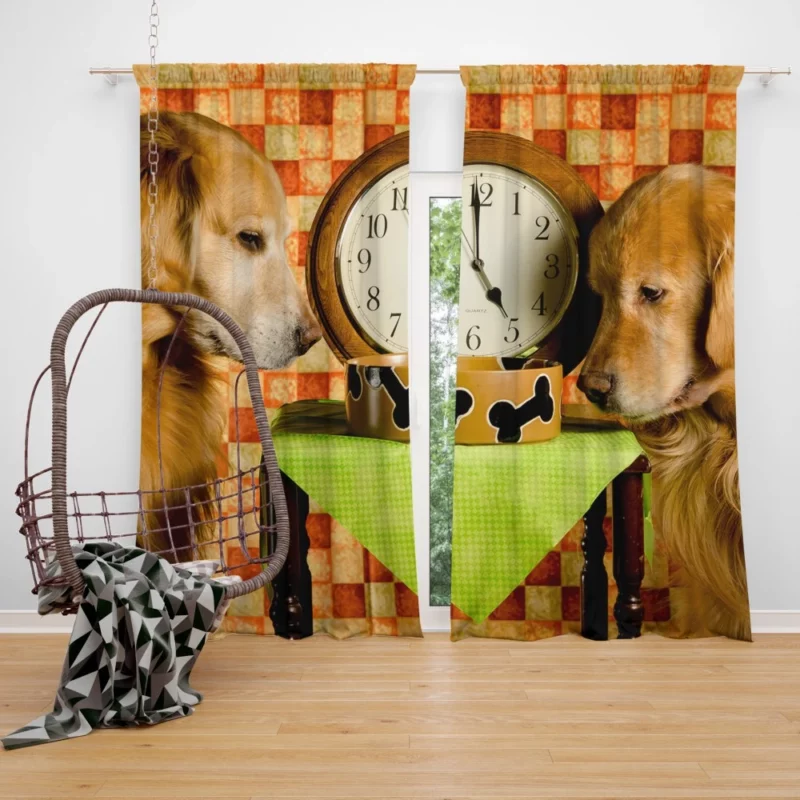 Golden Retriever with Time Grace Curtain