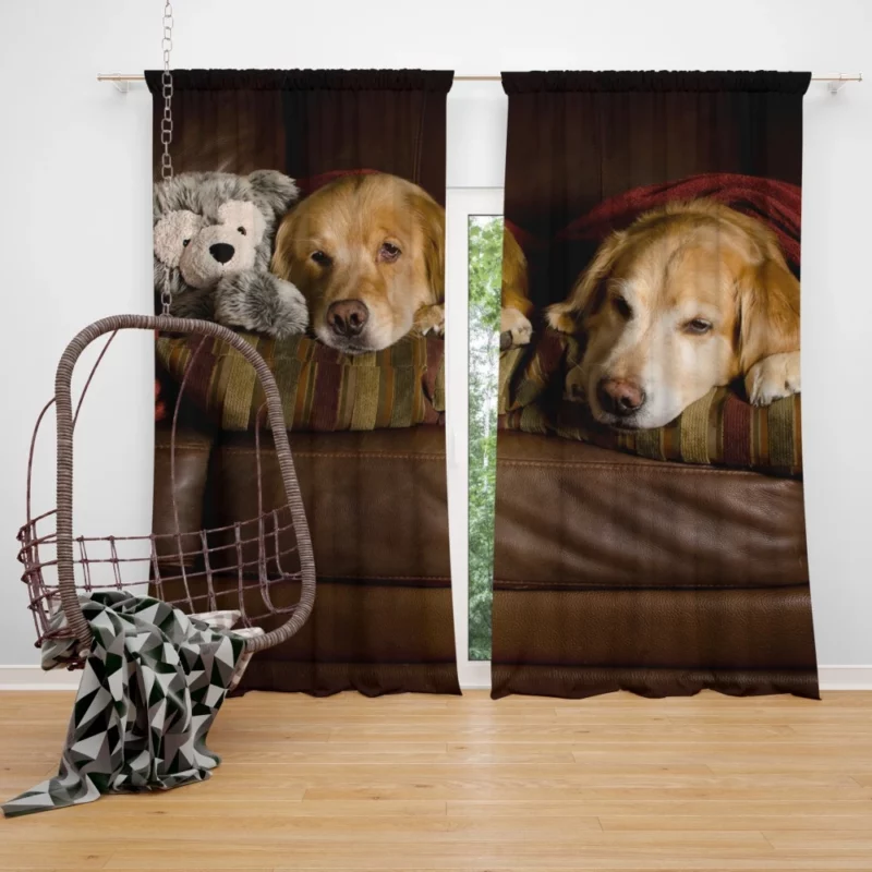 Golden Retrievers on Couch Furry Love Curtain