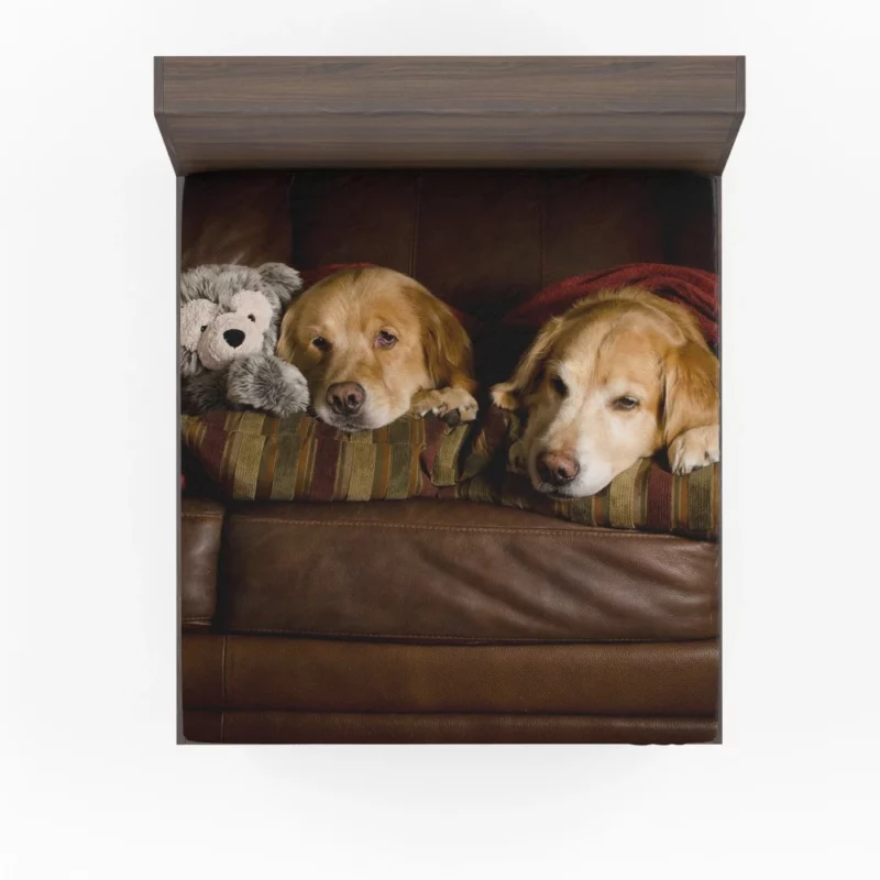 Golden Retrievers on Couch Furry Love Fitted Sheet 1