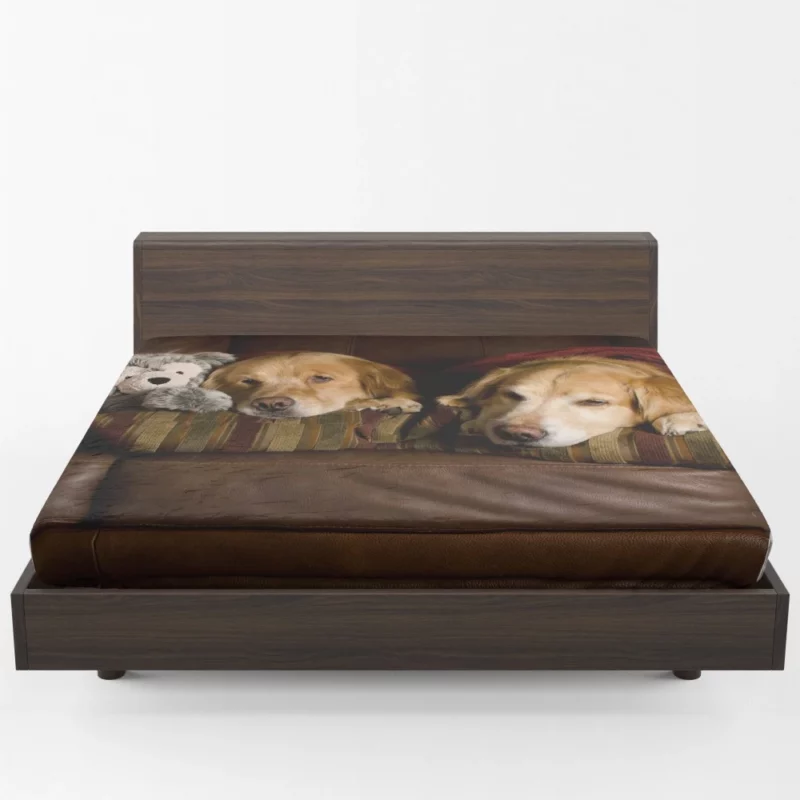 Golden Retrievers on Couch Furry Love Fitted Sheet