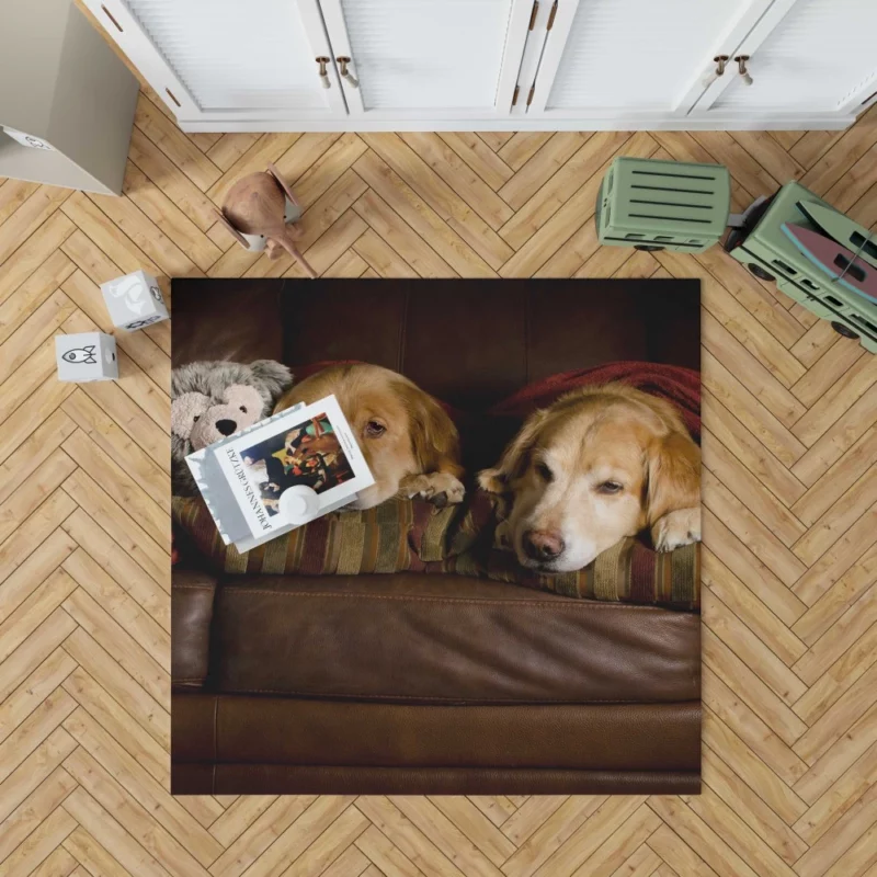 Golden Retrievers on Couch Furry Love Rug