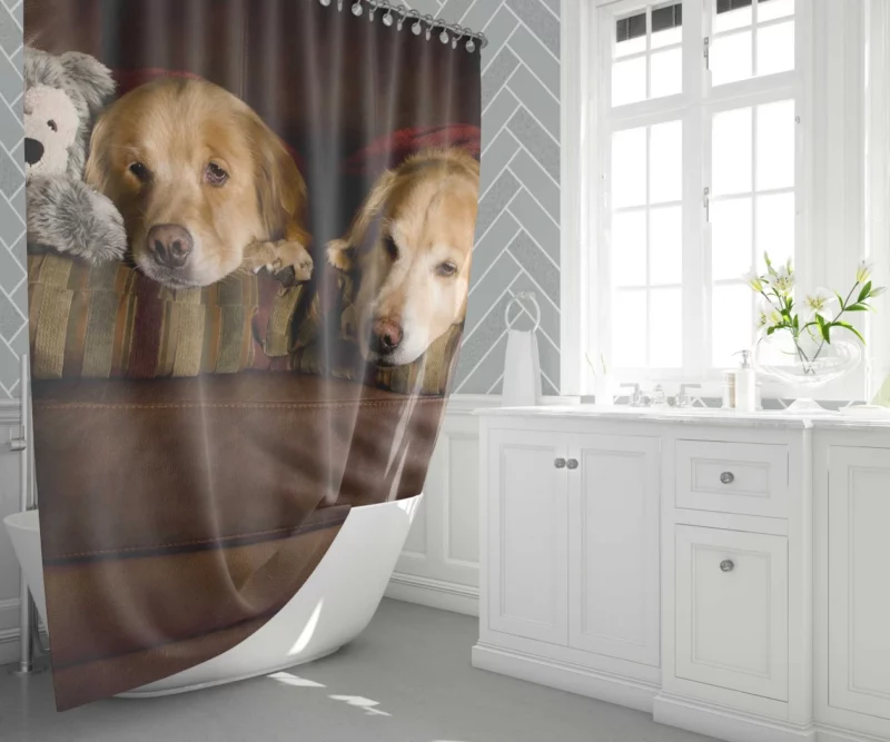 Golden Retrievers on Couch Furry Love Shower Curtain 1