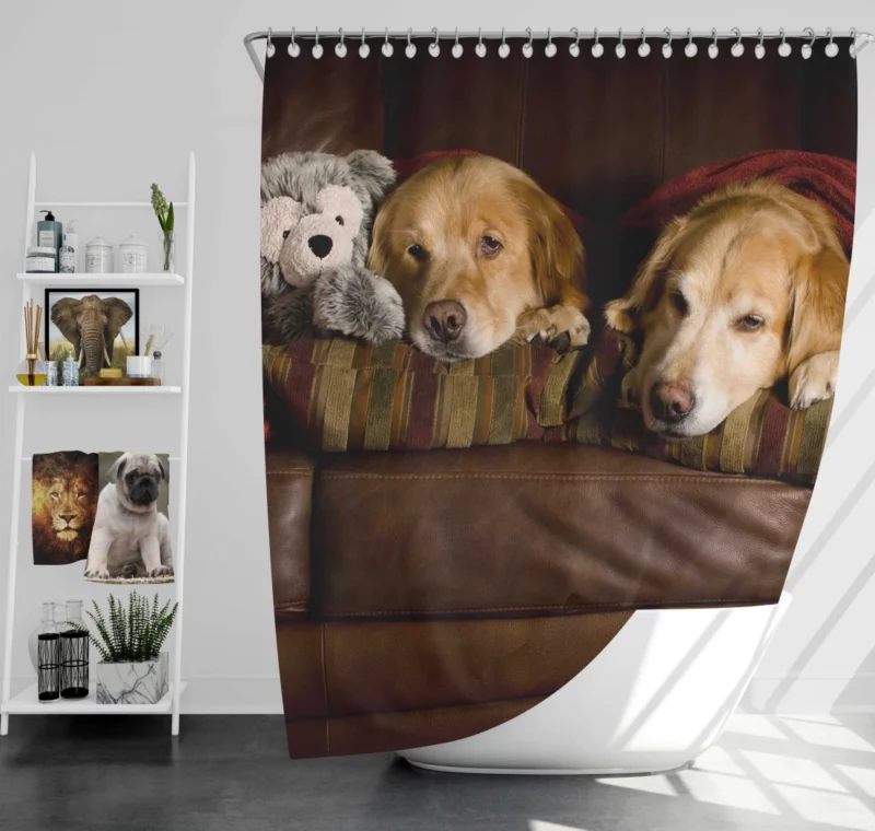 Golden Retrievers on Couch Furry Love Shower Curtain