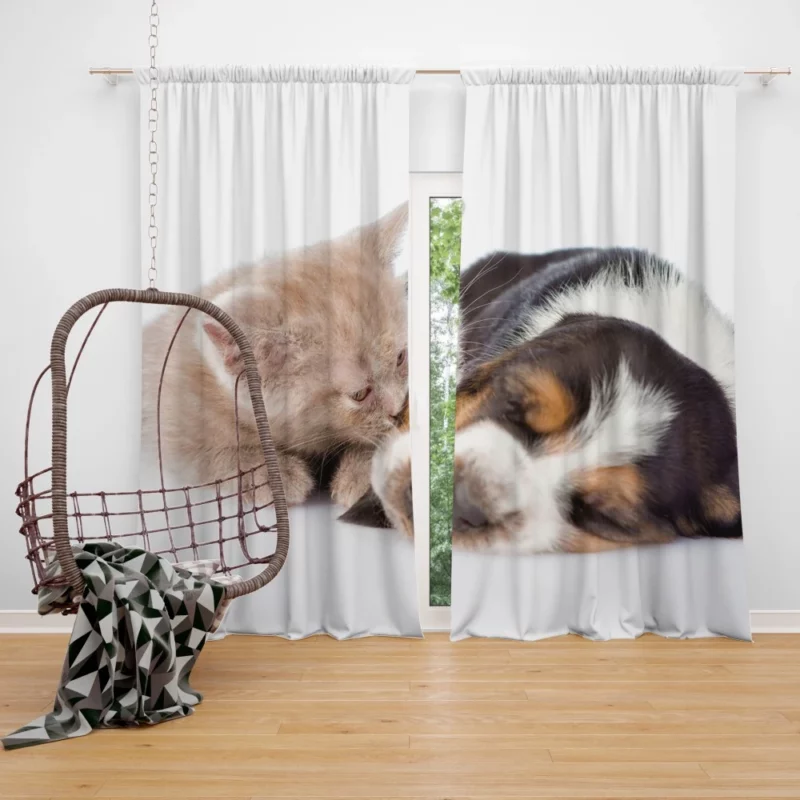 Goodnight Kiss Furry Bonding Bliss Curtain