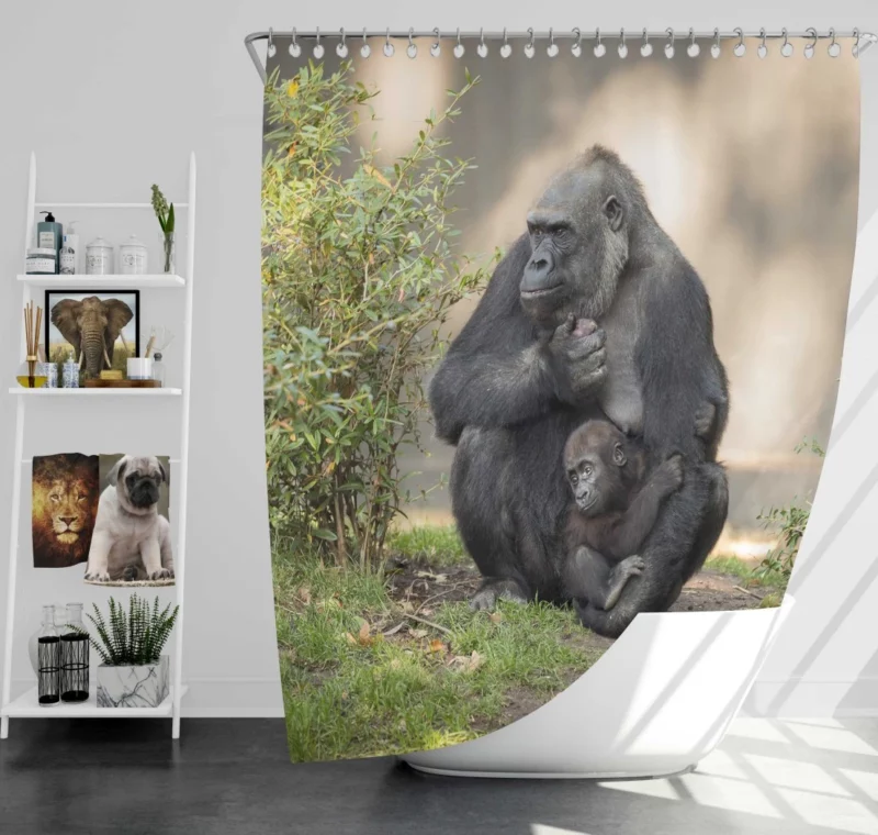 Gorilla Cub Innocent Wonder Primate Amazement Shower Curtain