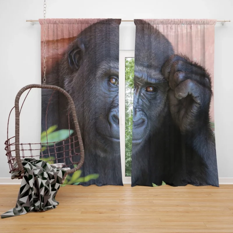 Gorilla Wise Eyes Primate Introspection Curtain