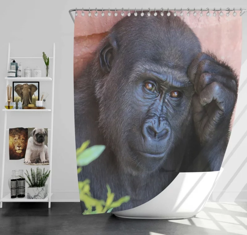 Gorilla Wise Eyes Primate Introspection Shower Curtain