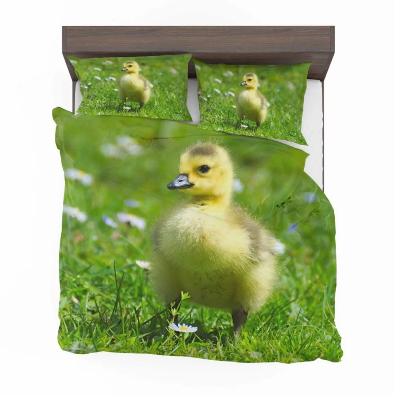 Gosling Curious Gaze Fuzzy Wonder Bedding Set 1