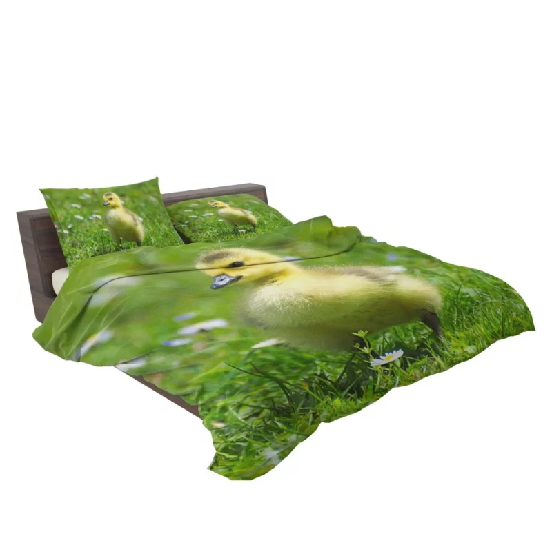 Gosling Curious Gaze Fuzzy Wonder Bedding Set 2