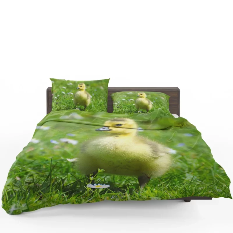 Gosling Curious Gaze Fuzzy Wonder Bedding Set