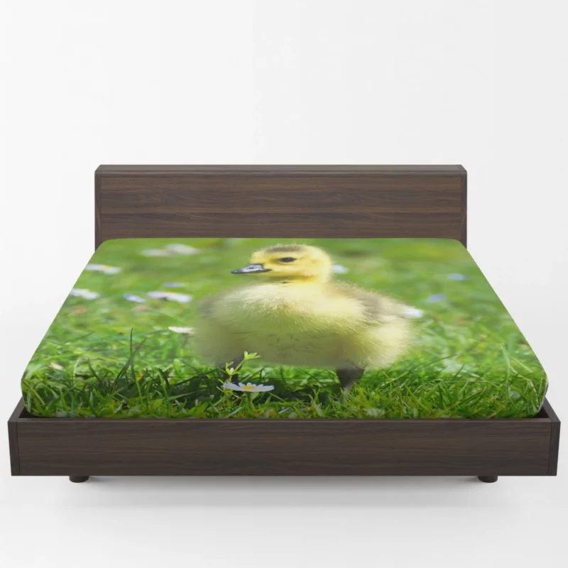 Gosling Curious Gaze Fuzzy Wonder Fitted Sheet