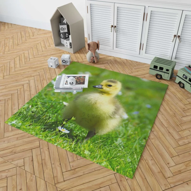 Gosling Curious Gaze Fuzzy Wonder Rug 1