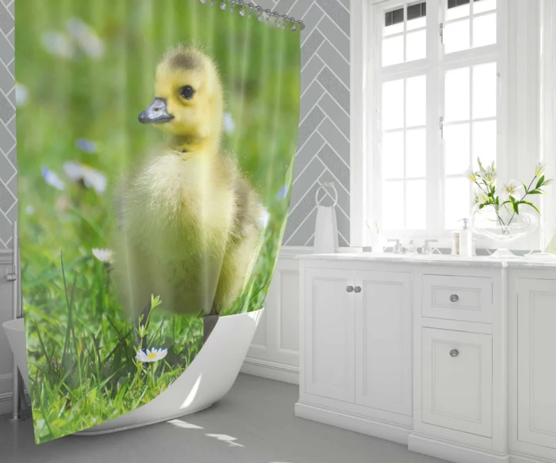 Gosling Curious Gaze Fuzzy Wonder Shower Curtain 1