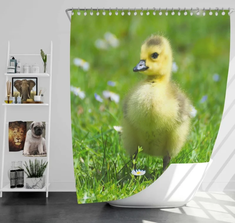 Gosling Curious Gaze Fuzzy Wonder Shower Curtain