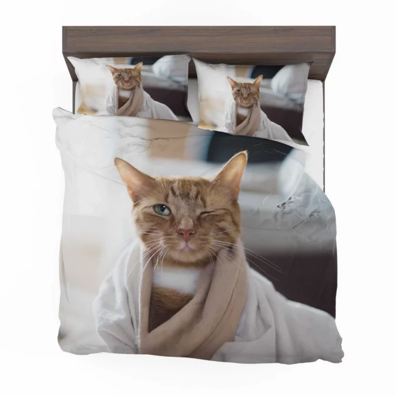 Graceful Cat Curiosity Bedding Set 1