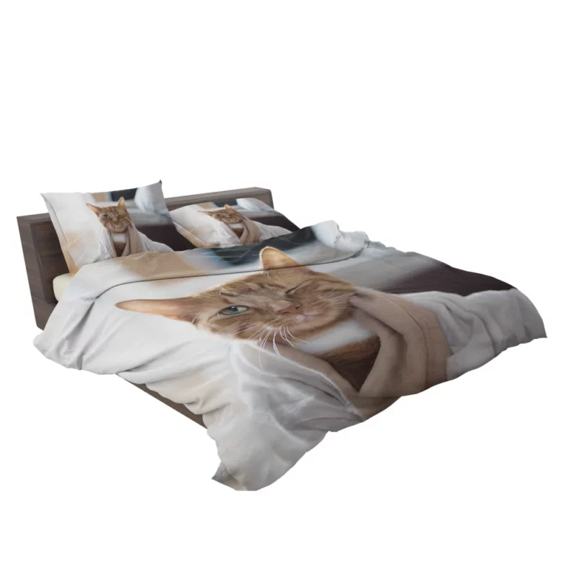 Graceful Cat Curiosity Bedding Set 2