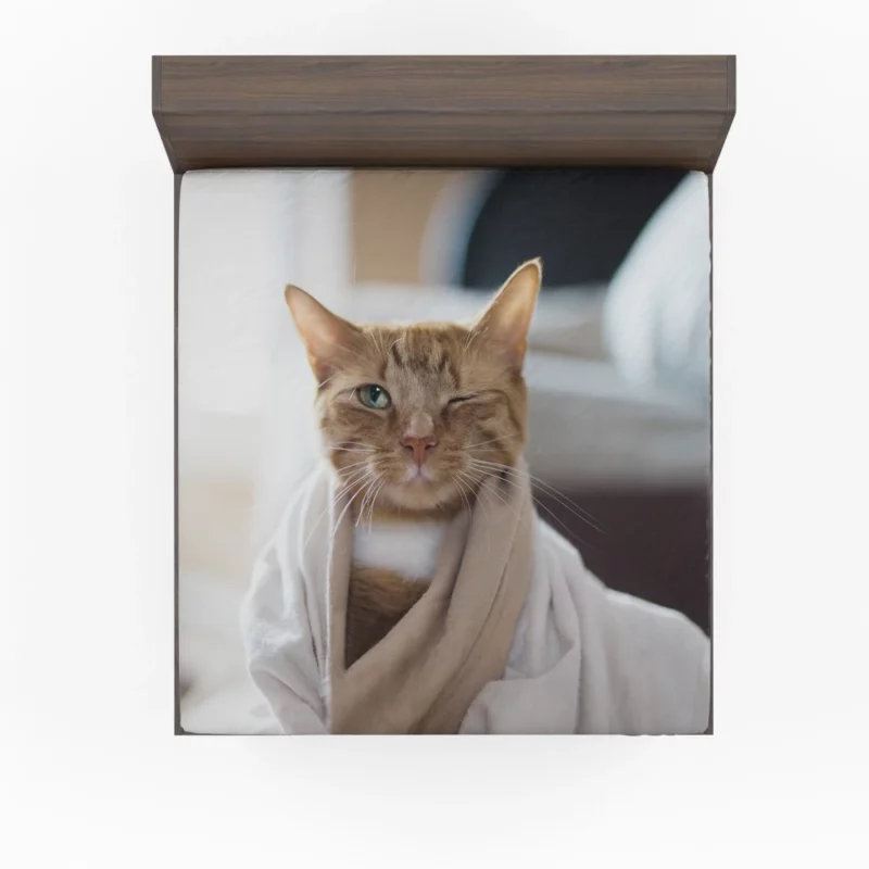 Graceful Cat Curiosity Fitted Sheet 1