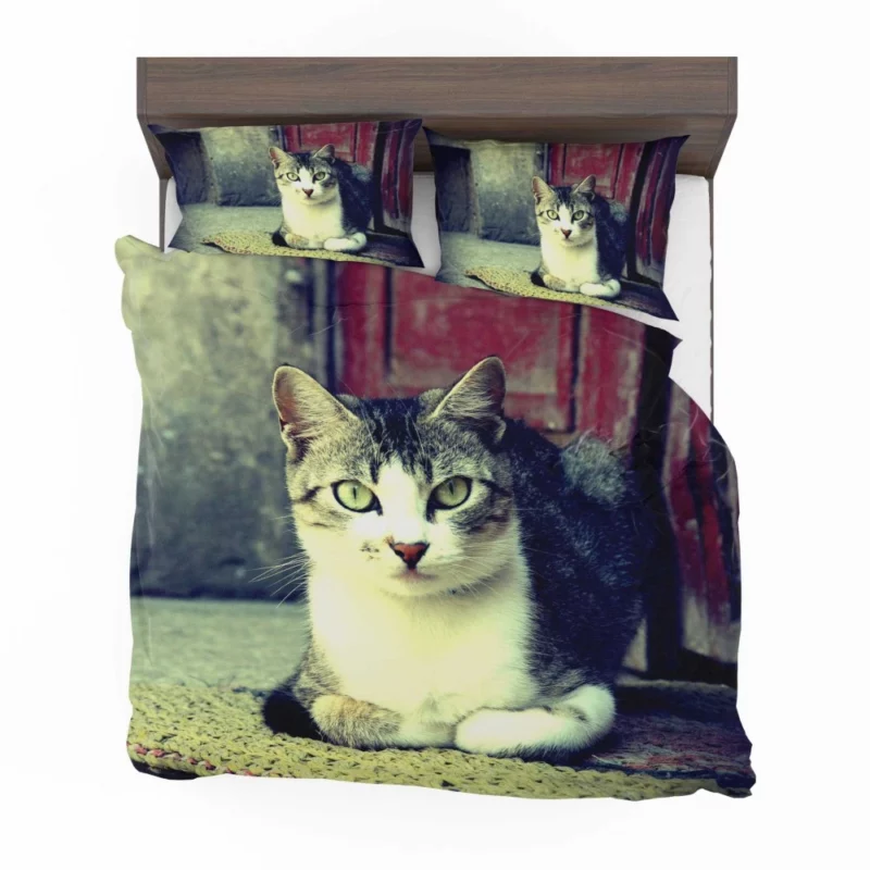 Graceful Cat Feline Majesty Bedding Set 1