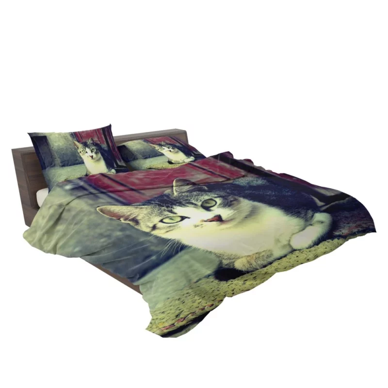 Graceful Cat Feline Majesty Bedding Set 2