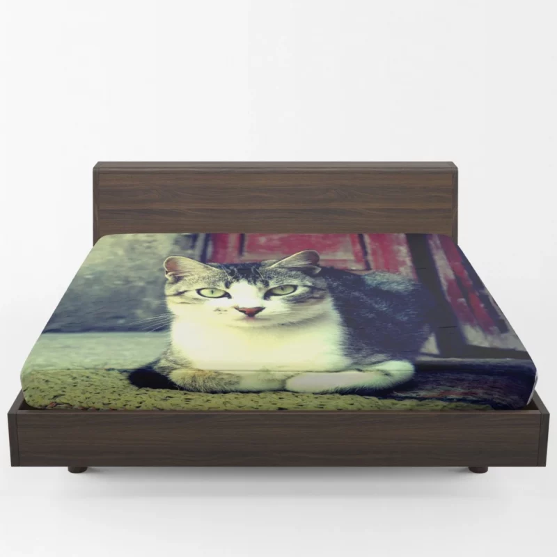 Graceful Cat Feline Majesty Fitted Sheet