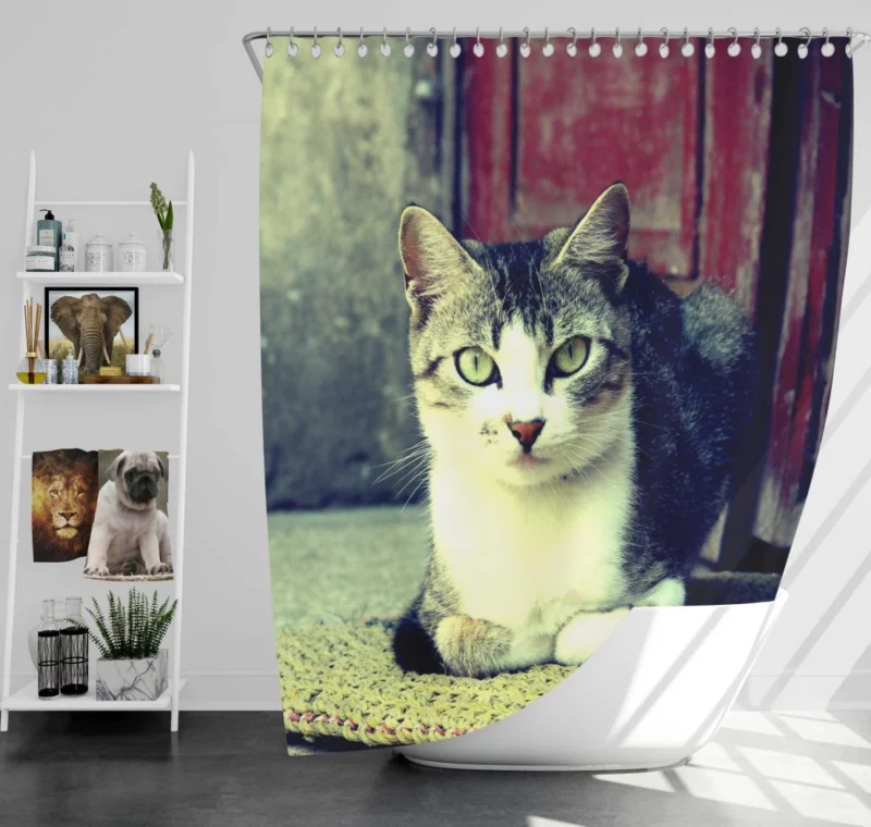 Graceful Cat Feline Majesty Shower Curtain