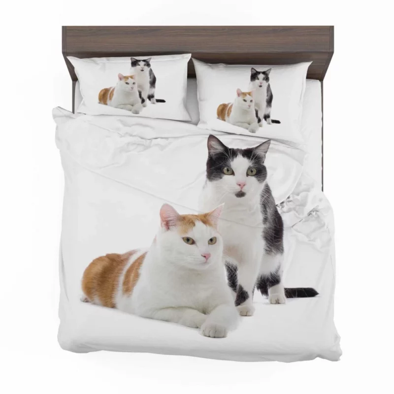 Graceful Cat Pose Bedding Set 1