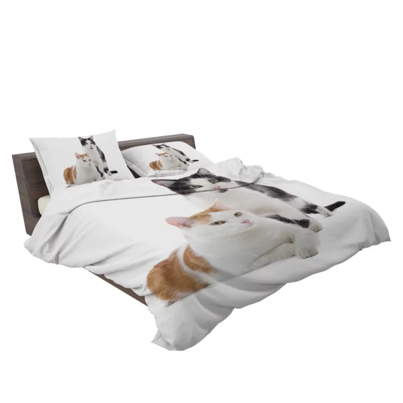 Graceful Cat Pose Bedding Set 2